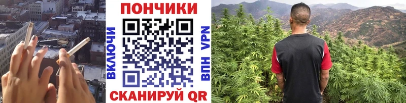 закладки  Армавир  Бошки Шишки план 